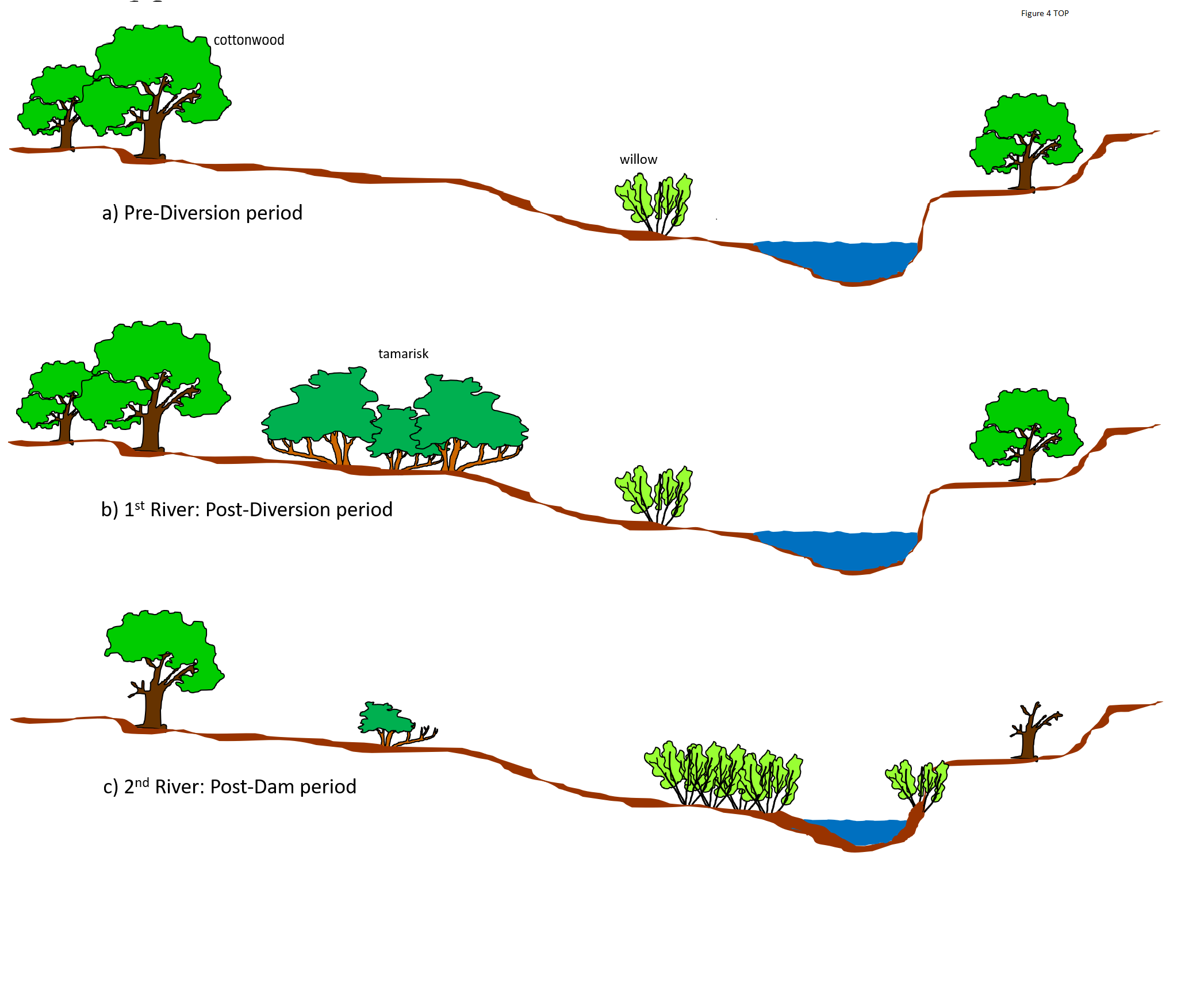 Three illustrations of vegetation and water change